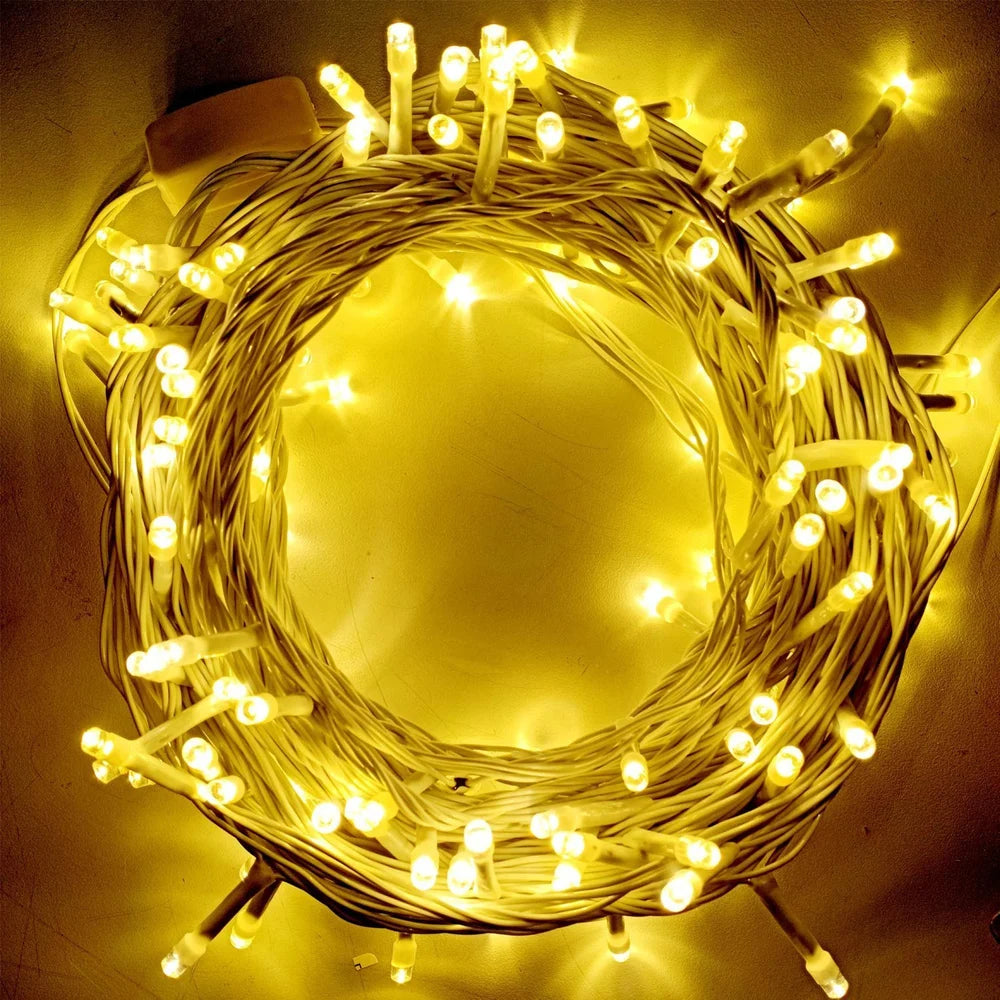 Decorative String LED Lights